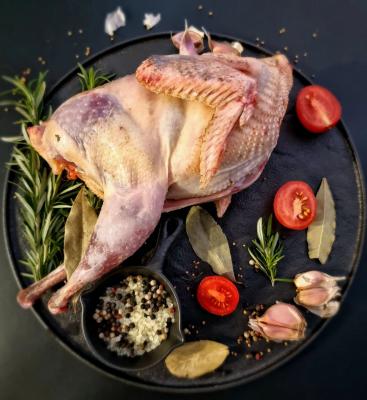 Pheasant 